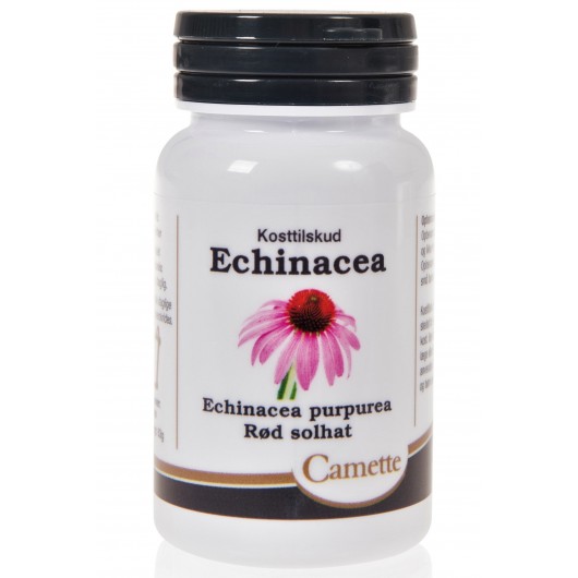 Echinacea 90 tabletter
