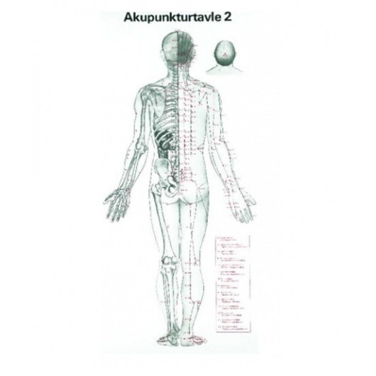 Akupunkturtavle  No.: 2    34 x 70 cm.