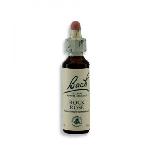 1031 Soløje ( Rock Rose no. 26 )